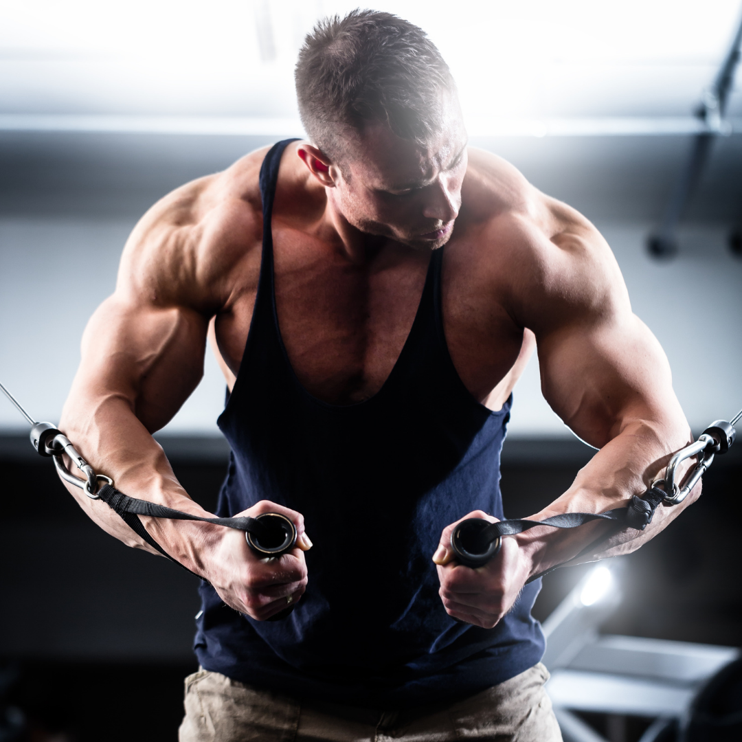 The 6 Best Muscle Gainer Supplements For Mass & Strength