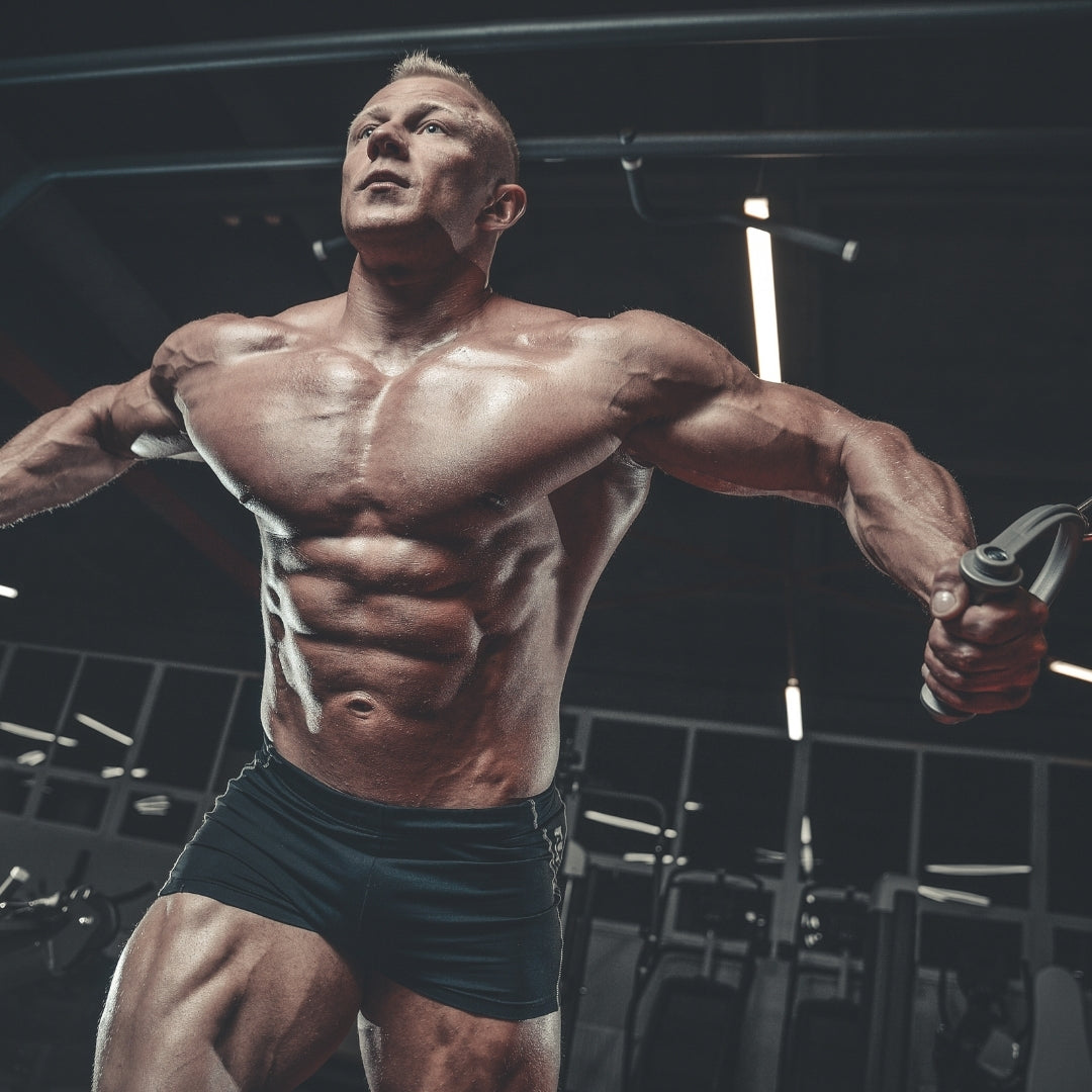 Best Beta Alanine Supplement + Benefits & Uses