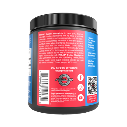 Prolab Nutrition Micronized Creatine Monohydrate Powder | International Market Product