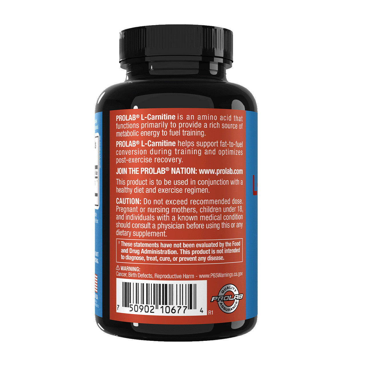 L-Carnitine Supplement Features
